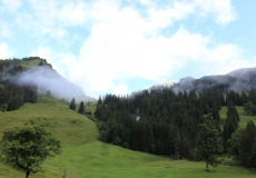 Schwarzwaldalp