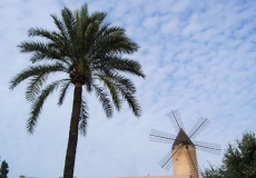 Palma de Mallorca