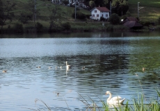 Luzern Rotsee
