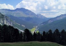 Schweizerischer Nationalpark