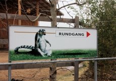 Tonis Zoo Rothenburg Luzern