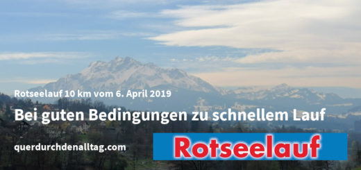 Laufen Rotseelauf Ebikon Luzern 2019