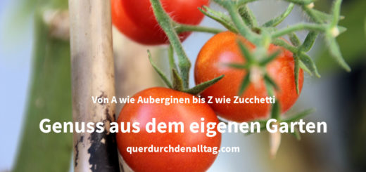 Garten Gemüse Früchte Kräuter Tomaten